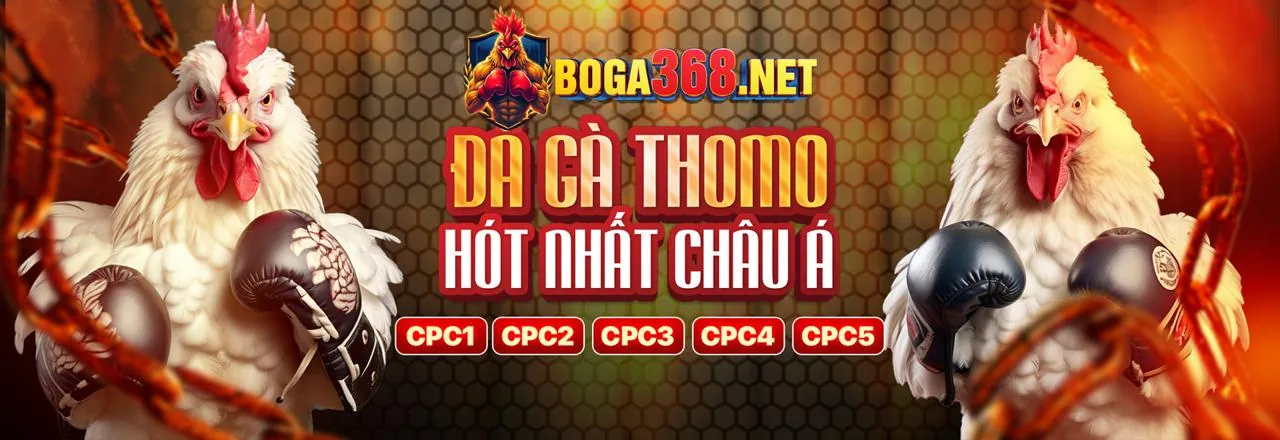 Điền thông tin cá nhân chính xác để đăng ký SV288