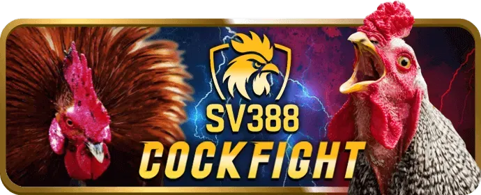 Cookie cần thiết cho hoạt động của SV288